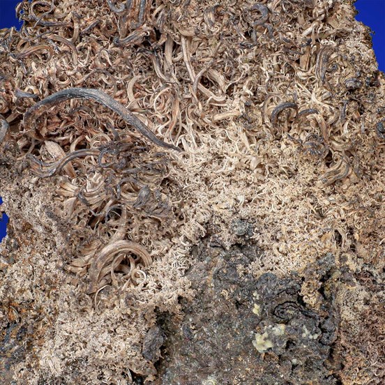 Silver-Schlema | Erzgebirge | Saxony | Germany